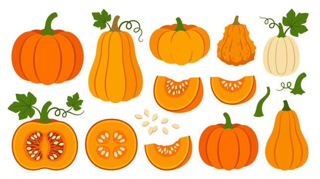 Collection of assorted pumpkins and gourds in various shapes and sizes, whole and sliced, isolated on a white background, autumn