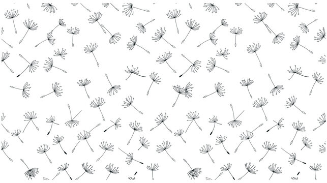 Pattern background of flying dandelion seeds on white surface minimalist.