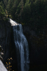 waterfall in the forest in oregon © Gabriela