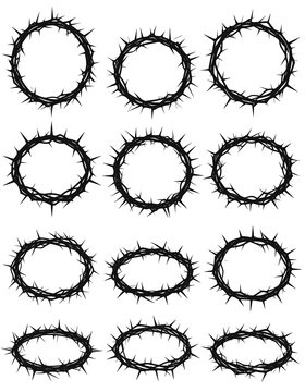 A collection of twelve thorny circular and oval-shaped wreaths on white