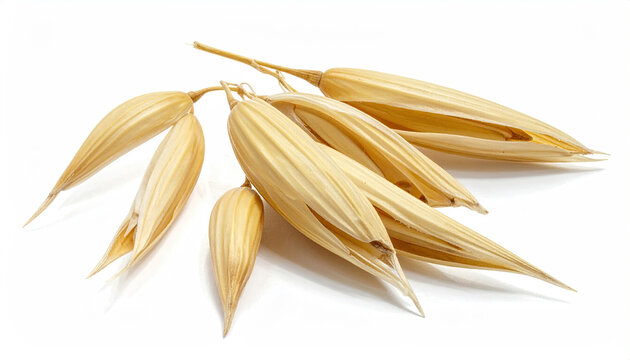 Closeup of Oat Flakes on White Background for Food and Nutrition