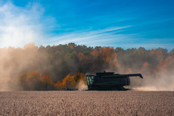 Obraz premium Summer harvest. Fields with harvest wheat. Combine harvester in a wheat field. Harvest on rural farm. Combine harvester machinery. Combine harvester at work. Rural landscape with a harvest.