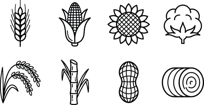 Agriculture and Farm Crop Line Art Icon Vector Set Featuring Wheat, Corn, Sunflower, Cotton, Rice, Sugarcane, Peanut, and Hay Bale Symbols