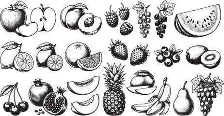 Fototapeta premium Hand drawn fruit collection featuring various fresh produce items in a detailed black and white sketch style