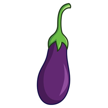 Single purple eggplant vegetable isolated on white background