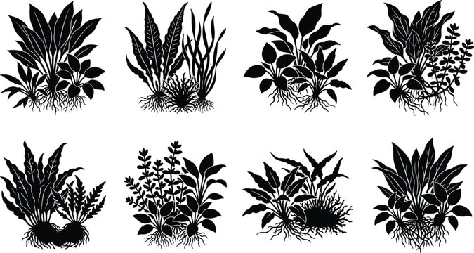 Set of aquarium plants silhouettes with roots collection of underwater seaweed and river flora isolated on white background