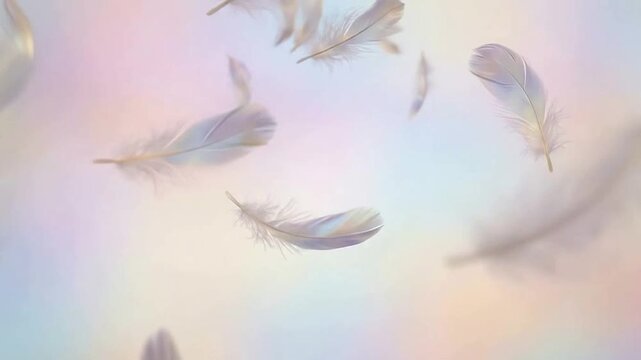 Delicate Floating Feathers Against Soft Pastel Background