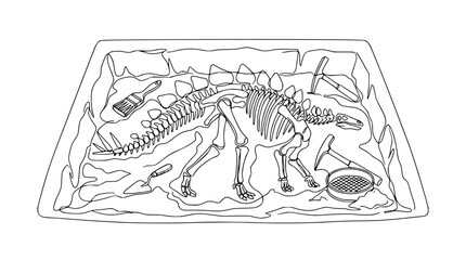 Dinosaur Excavation Site: Stegosaurus Skeleton Discovery with Tools © Kaleng