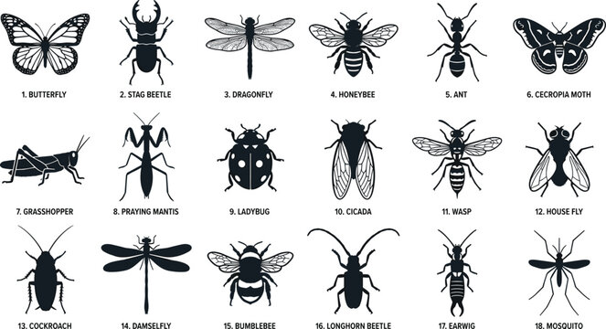 Detailed set of black silhouette icons representing eighteen various insects, beetles, and flying bugs for biological study.