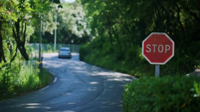 Close up of a stop sign beside a peaceful green road, with a car passing in the distance and soft natural summer lighting