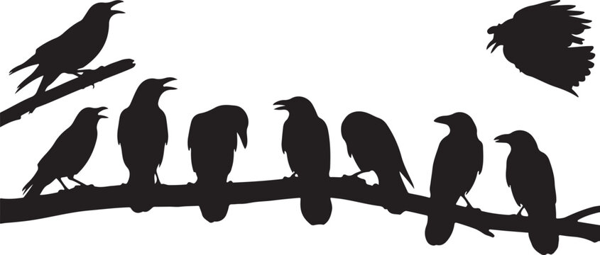 Rabenv&ouml;gel am Ast, Raben Gruppe Silhouette, Vektor Illustration isoliert auf wei&szlig;em Hintergrund