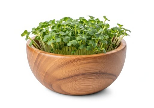 Fresh microgreens sprouts served in a small wooden bowl with seedlings