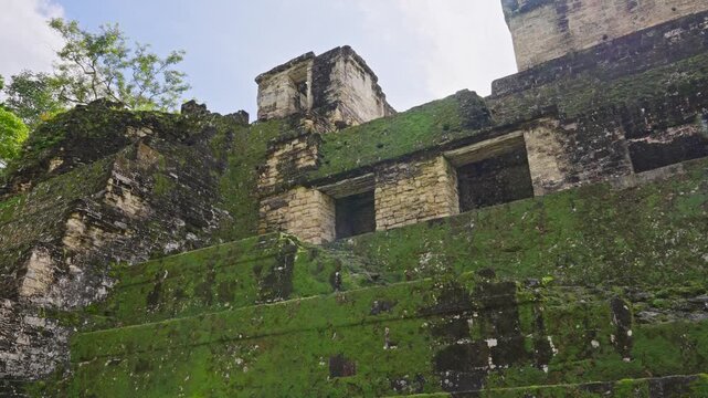 Moss-covered stone detail from Tikal ruins