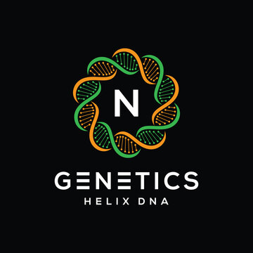 Initial letter N genetics helix DNA biotechnology for technology and medical logo design