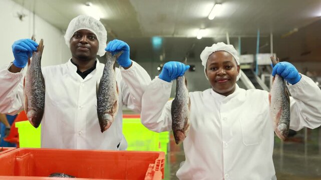 Two African American raw material department heads fresh seafood room inspect freshness fish in plastic containers canned fish and surimi production plant ensuring food products meet standards.