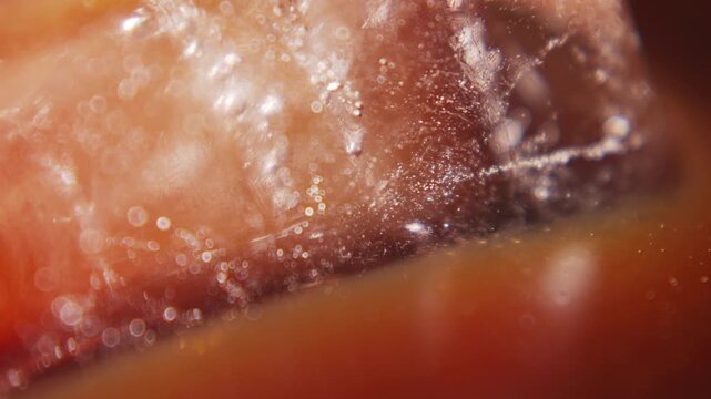 Macro Close Up View of Ice Cube Floating in Iced Black Coffee Stirred with a Drinking Straw