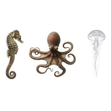 Seahorse, octopus, and jellyfish trio isolated on transparent background