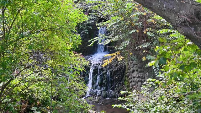 waterfall surrounded by lush green forest with rock formations, Denmark