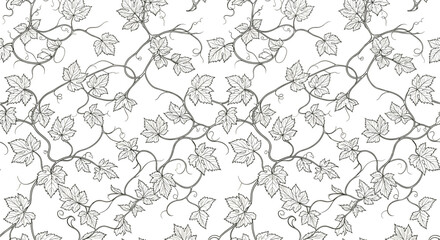 Fototapeta premium Seamless pattern with grape vine leaves and curling tendrils, hand drawn botanical background