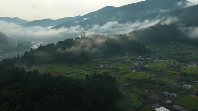 Aerial drone footage of misty mountain village and rice fields at sunrise in Shizuoka, Japan