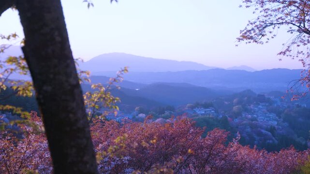 Sunset over Mountains of Nara, Beautiful Yoshinoyama with Sakura