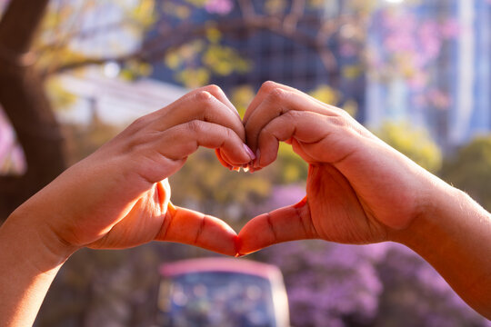 Hands forming a heart shape with purple trees and city buildings in the background