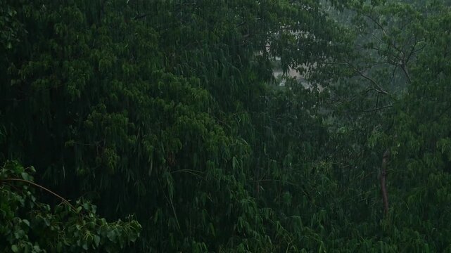 Stormy Monsoon Rain Over Old Residential Apartment Buildings with Satellite Dishes and Green Trees, Dark Gloomy Urban Cityscape