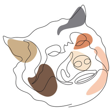 Continuous line art of a pig face with abstract geometric color shapes.