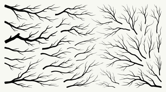 Black silhouetted leafless tree branches and twigs for natural design.