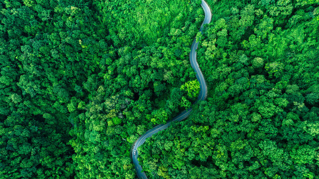Scenic aerial forest road representing climate resilience, sustainable transportation, Renewable Energy Transition, Environmental Management, Green Economy, and long-term responsible corporate develop