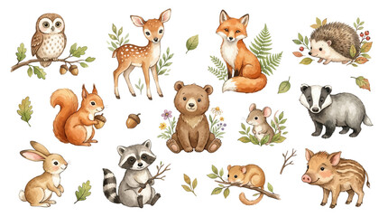 Obraz premium Adorable Woodland Animal Watercolor Illustrations Featuring Cute Forest Creatures and Nature Elements for Nursery Decor