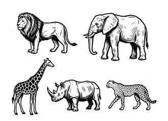Safari animal collection with lion, elephant, giraffe, rhino and leopard, hand drawn vintage engraving, wildlife vector illustration © Otpirus