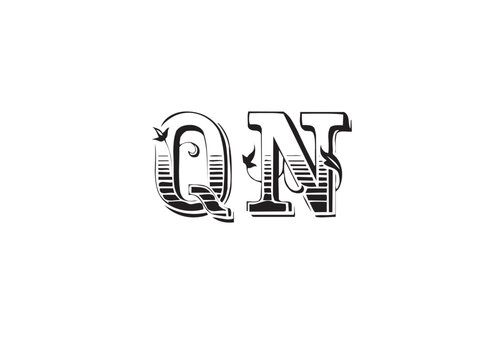 Modern QN Letter Logo Design, Luxury Monogram Logo, Creative QN Initial Logo, Professional Brand Identity