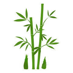 Fototapeta premium Minimalist bamboo stalks with fresh green leaves isolated on a transparent background. Ideal for Asian themes, nature designs, eco branding,spa,wellness, packaging,invitations and decorative projects.