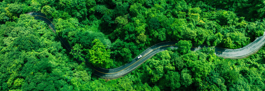 Aerial tropical forest landscape featuring a winding highway, perfect for corporate Sustainability Reports, Green Finance communication, Climate Resilience planning, Renewable Energy investment, and b