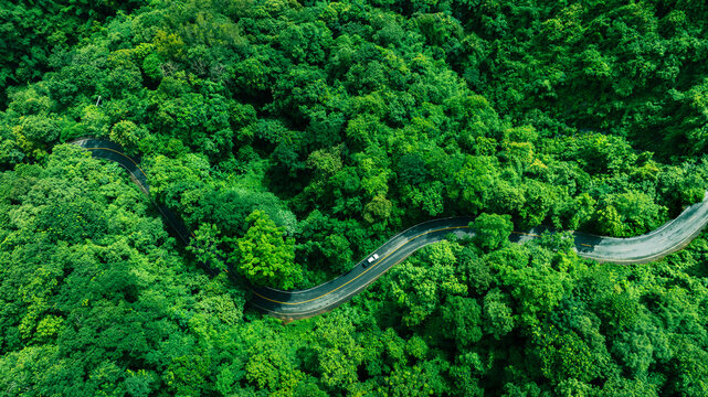 Natural forest corridor with modern transportation access, representing Climate Strategy, Net Zero Transition, Carbon Credit Market, Renewable Energy support, Sustainable Mobility, ESG governance, and