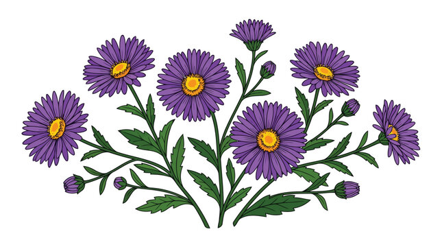 Adobe Illustrator Artwork