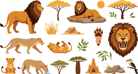 African lion safari wild animal vector cartoon collection featuring male lion lioness playful cubs roaring head portrait savanna acacia trees and rocks isolated © MstRowshanAra