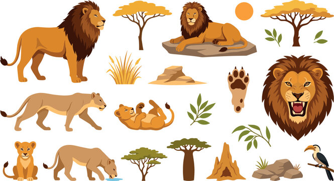 African lion safari wild animal vector cartoon collection featuring male lion lioness playful cubs roaring head portrait savanna acacia trees and rocks isolated