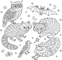 Fototapeta premium Cute nocturnal animals illustration featuring owl raccoon bat and bird designs