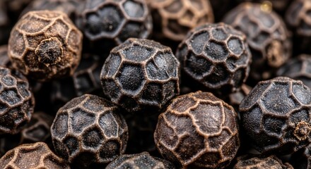 Obraz premium Ancient Seeds, Aromatic Whispers