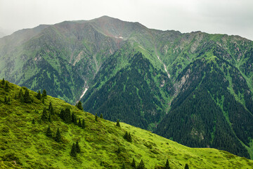 Fototapeta premium Landscape Kazachstan, mountainm trees, green, woods, travel, nature, clubs, blue, 