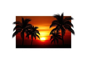 Fototapeta premium Silhouette palm trees at sunset by the beach