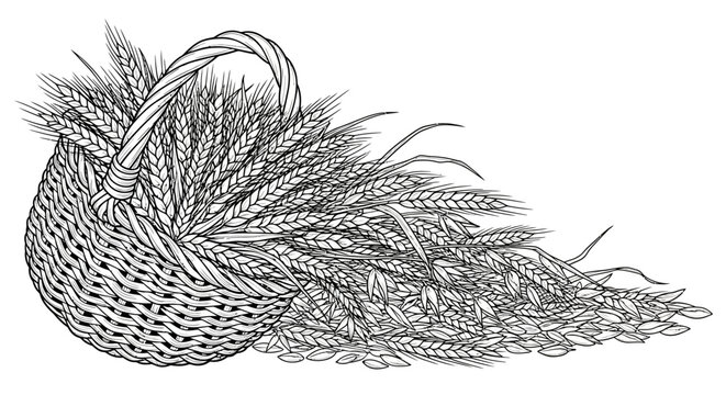 Wicker Basket Overflowing with Ripe Wheat Stalks and Grains