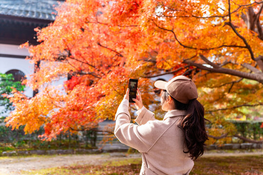 Young female tourist taking a smartphone picture of vibrant orange and yellow autumn foliage at a traditional Japanese temple in Kyoto, Japan