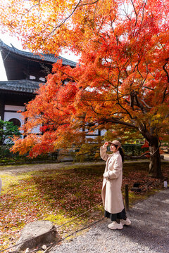 Young female tourist enjoying vibrant orange autumn foliage at a traditional Japanese temple in Kyoto, Japan