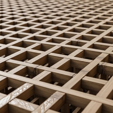 Sun-Drenched Lattice: A Symphony of Light and Shadow