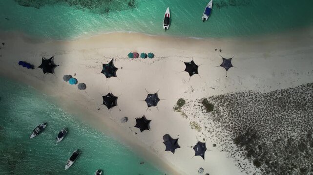 Stunning top-down drone perspective of a pristine white sandbank surrounded by turquoise Caribbean waters, featuring shaded tents and moored vessels in Cayo de Agua Los Roques Venezuela