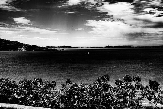 Sailboat on San Francisco Bay from Alcatraz, black and white