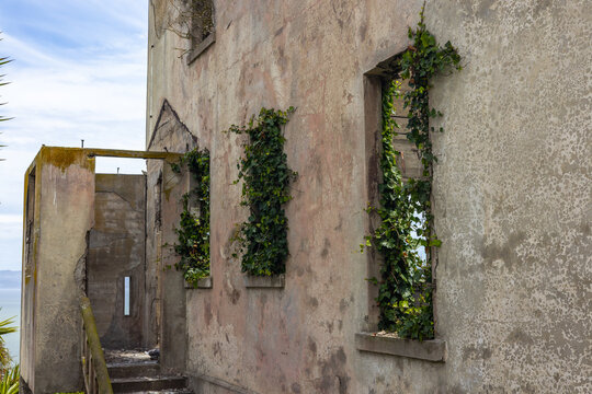 Ivy growing through ruined building windows at Alcatraz Island